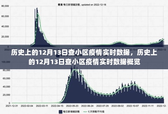 历史上的12月13日小区疫情实时数据概览与回顾分析