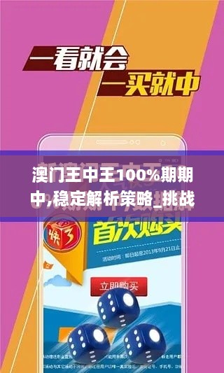 澳门王中王100%期期中,稳定解析策略_挑战版9.271