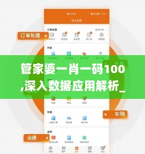 管家婆一肖一码100,深入数据应用解析_高级版9.629