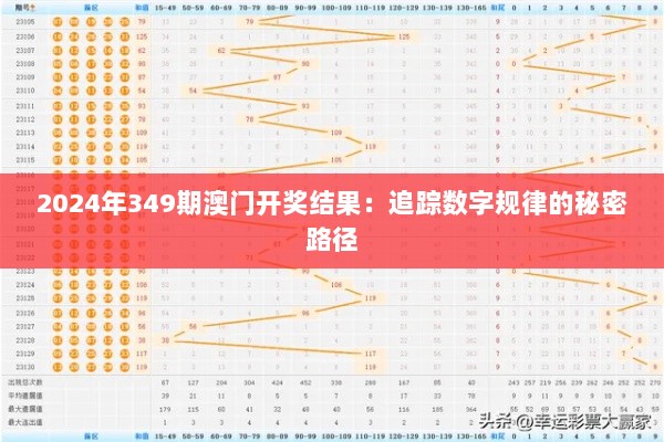 2024年349期澳门开奖结果：追踪数字规律的秘密路径