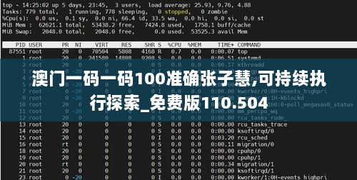 澳门一码一码100准确张子慧,可持续执行探索_免费版110.504