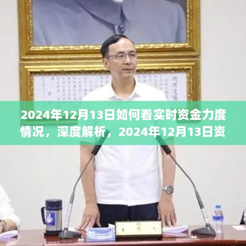 深度解析，如何实时观察资金力度情况——以2024年12月13日为例