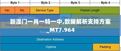 新澳门一肖一特一中,数据解析支持方案_MT7.964