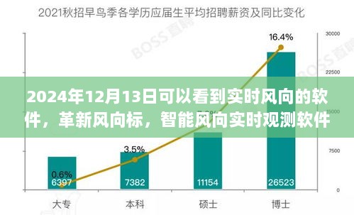 革新风向标，智能风向实时观测软件，引领未来生活新纪元