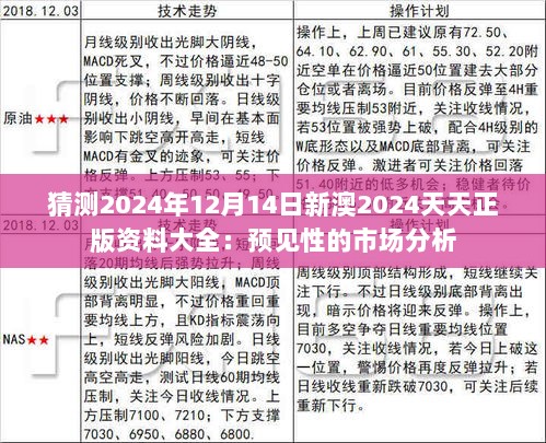 猜测2024年12月14日新澳2024天天正版资料大全：预见性的市场分析