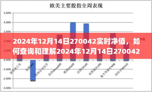 详细步骤指南，如何查询和理解2024年12月14日基金270042的实时净值