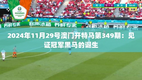 2024年11月29号澳门开特马第349期：见证冠军黑马的诞生