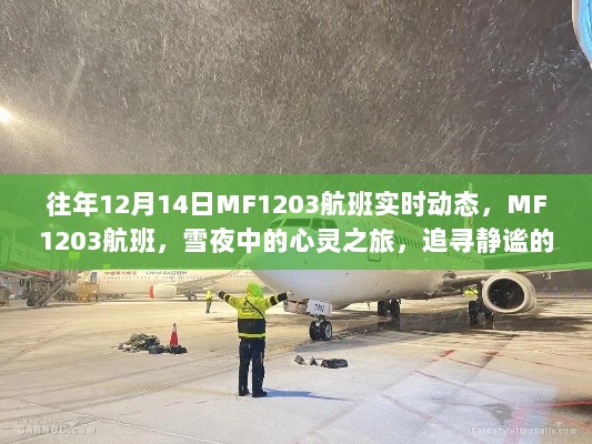 MF1203航班雪夜追寻静谧的力量，实时动态记录心灵之旅