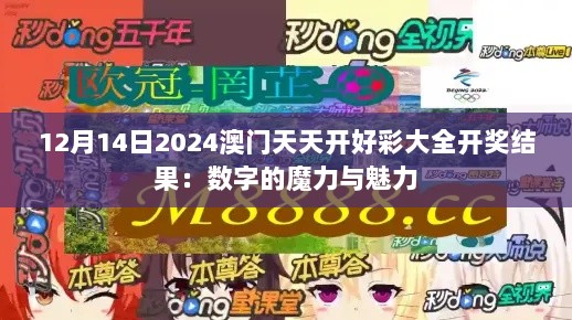 12月14日2024澳门天天开好彩大全开奖结果：数字的魔力与魅力