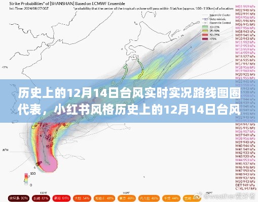 历史上的12月14日台风实时路线图圈代表解析（小红书风格）