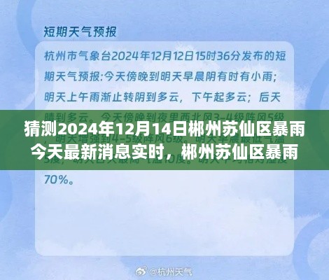 郴州苏仙区暴雨预警，最新消息与天气预测