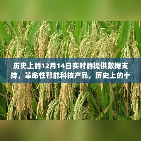 数据见证时代变迁，历史上的十二月十四日与革命性智能科技产品的力量