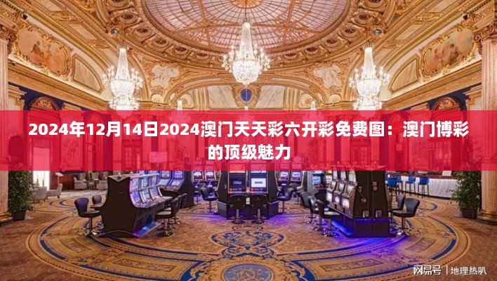 2024年12月14日2024澳门天天彩六开彩免费图：澳门博彩的顶级魅力