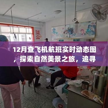 十二月航班实时动态图，追寻自然美景与内心宁静的旅程