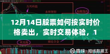 12月14日股票实时交易策略详解，卖出策略与实时交易体验分享