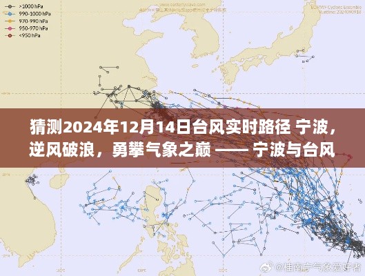 宁波逆风破浪预测2024年台风实时路径，气象之巅的博弈与励志篇章