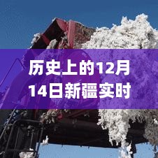 雪域棉价之旅，新疆棉价走势与心灵冒险的交汇点（历史回顾与实时分析）