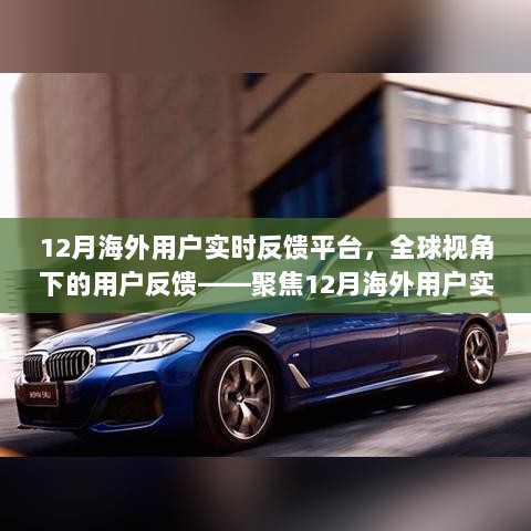 聚焦全球视角，12月海外用户实时反馈平台深度解析与用户反馈