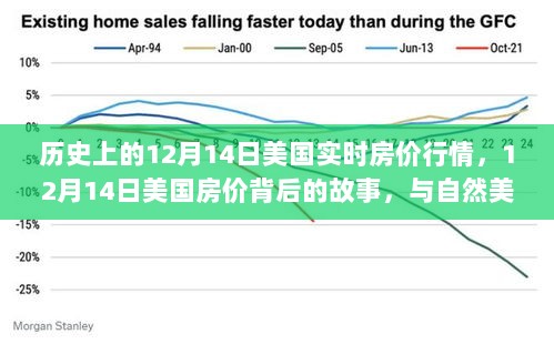 揭秘美国房价背后的故事，历史行情与自然美景的双重影响，12月14日的实时观察