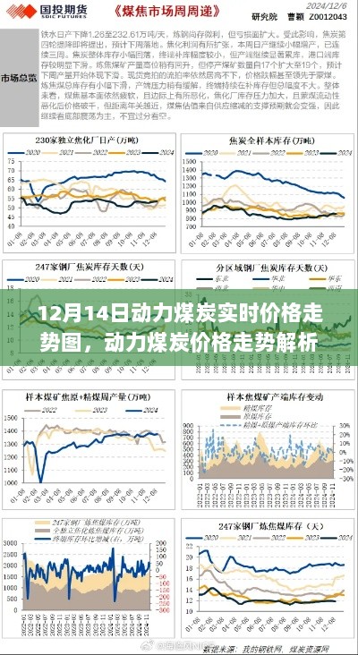 12月14日动力煤炭实时价格走势解析，市场动态与行业影响聚焦