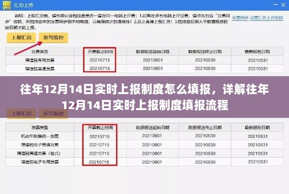 详解，往年12月14日实时上报制度填报流程与操作指南