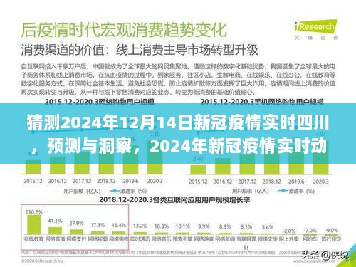 四川新冠疫情展望，预测与洞察，2024年四川新冠疫情实时动态分析