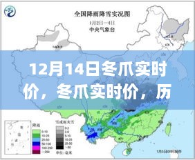 冬爪实时价深度解析，历史背景、重大事件与领域地位剖析