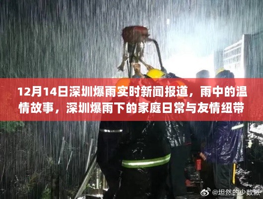 深圳暴雨下的温情瞬间，家庭日常与友情纽带的故事（实时新闻报道）