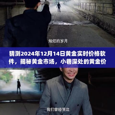 揭秘黄金市场预测宝藏，黄金实时价格软件预测2024年12月14日黄金价格走势分析