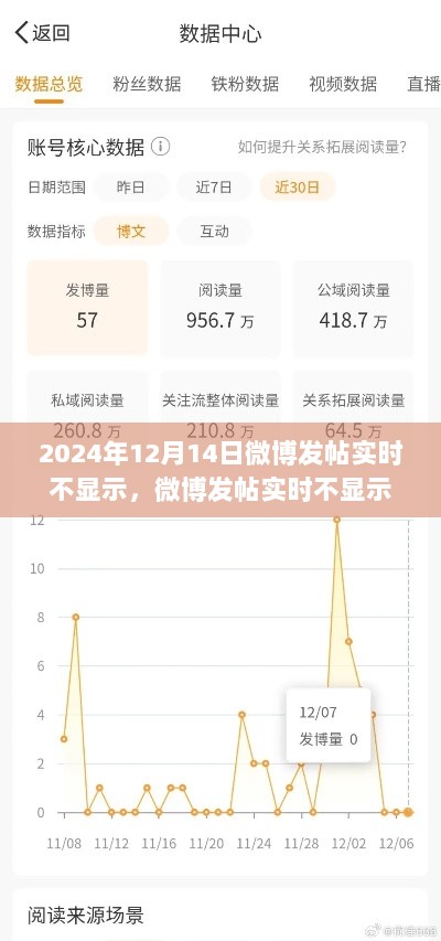 微博发帖实时不显示功能教程，初学者与进阶用户指南（2024年最新版）