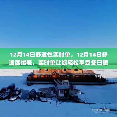 冬日暖阳下的舒适实时单，12月14日的极致体验