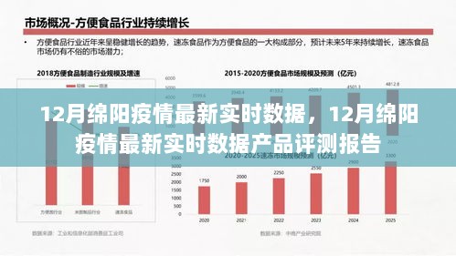 2024年12月15日 第8页