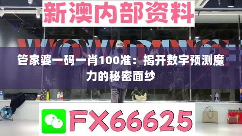 管家婆一码一肖100准：揭开数字预测魔力的秘密面纱