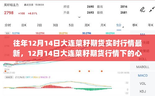 12月14日大连菜籽期货行情下的心灵之旅，探寻自然宁静与力量的实时行情分析