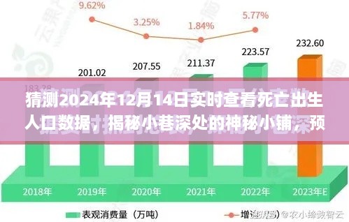 揭秘神秘小铺，生死交汇的奇迹时刻与未来预测，实时查看死亡出生人口数据（2024年12月14日）