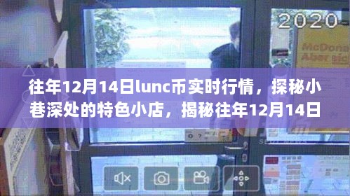 揭秘往年12月14日LUNC币行情与小巷美食之旅的双重探秘体验！