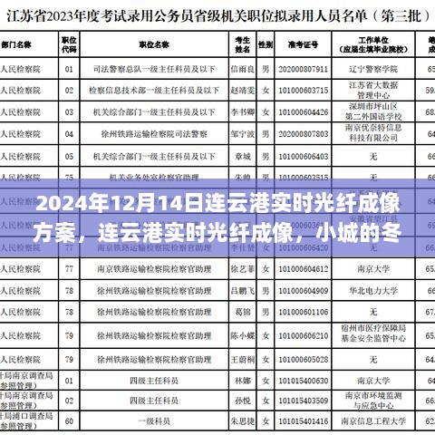 连云港实时光纤成像方案，冬日小城的温情守护者