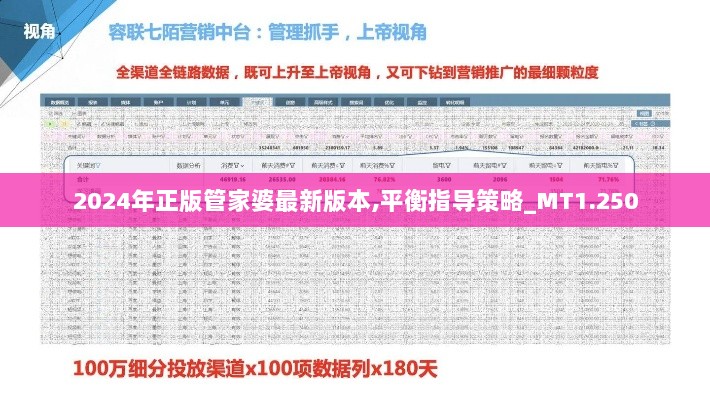 2024年正版管家婆最新版本,平衡指导策略_MT1.250