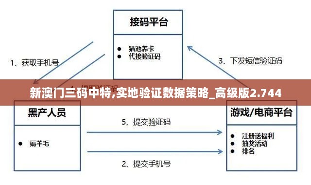 新澳门三码中特,实地验证数据策略_高级版2.744