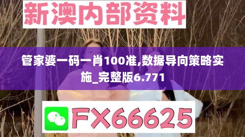 管家婆一码一肖100准,数据导向策略实施_完整版6.771