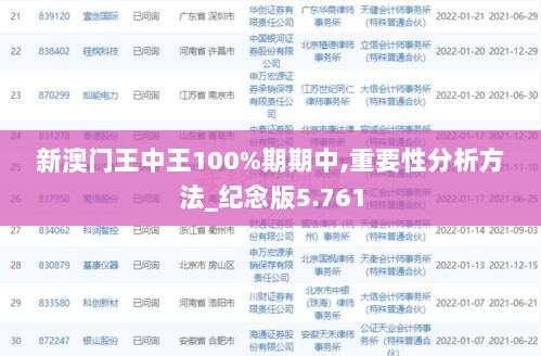 新澳门王中王100%期期中,重要性分析方法_纪念版5.761