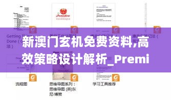 新澳门玄机免费资料,高效策略设计解析_Premium3.845