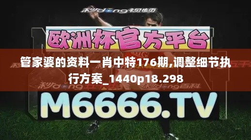 管家婆的资料一肖中特176期,调整细节执行方案_1440p18.298