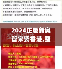 2024正版新奥管家婆香港,整体讲解执行_DX版19.516