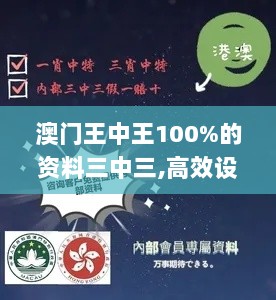 澳门王中王100%的资料三中三,高效设计策略_精简版6.248