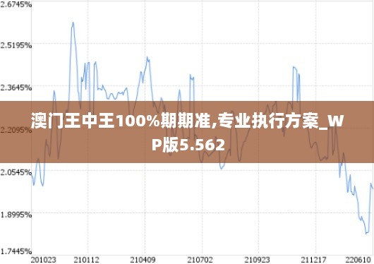 澳门王中王100%期期准,专业执行方案_WP版5.562