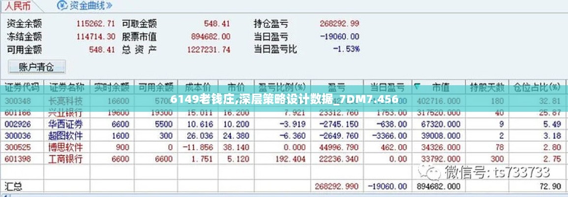 6149老钱庄,深层策略设计数据_7DM7.456