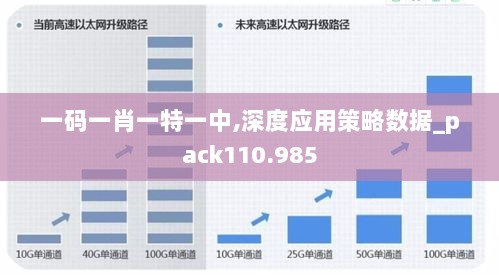 一码一肖一特一中,深度应用策略数据_pack110.985