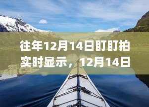 12月14日盯盯拍，与自然美景的邂逅，内心平和之旅的实时记录