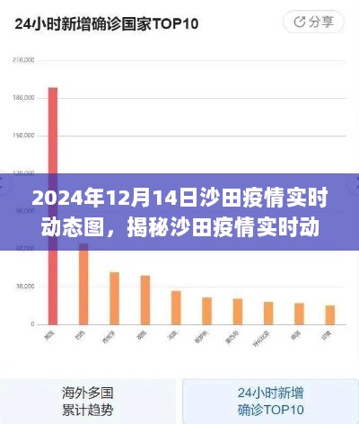 揭秘沙田疫情实时动态，专业解读2024年12月沙田疫情现状